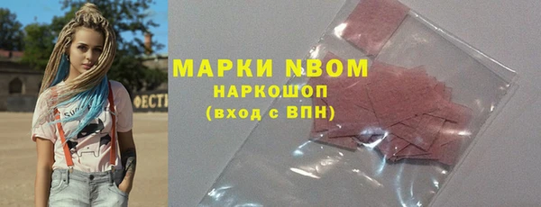 хмурый Ельня