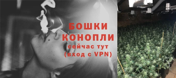 хмурый Ельня
