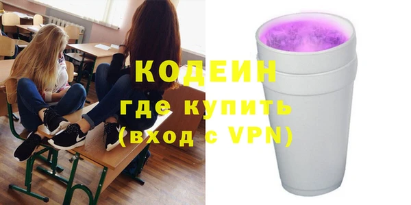 хмурый Ельня