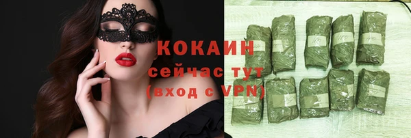 хмурый Ельня