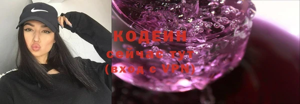 хмурый Ельня
