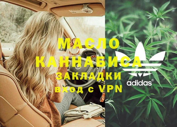 хмурый Ельня