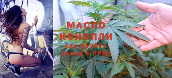 хмурый Ельня