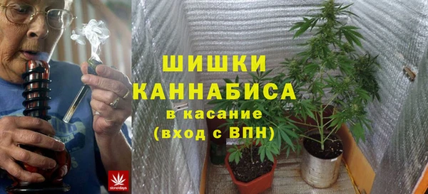 трава Елизово