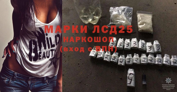 хмурый Ельня