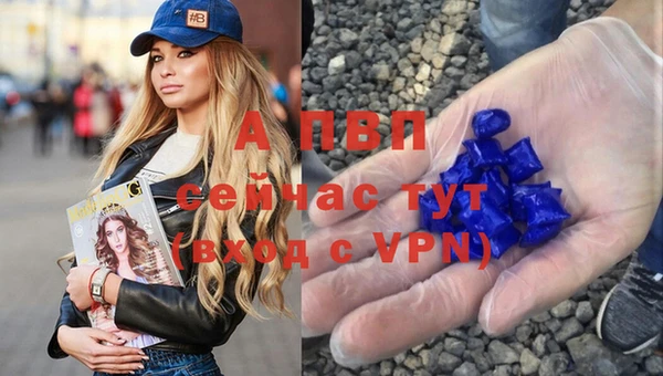 трава Елизово