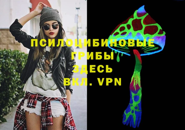 хмурый Ельня