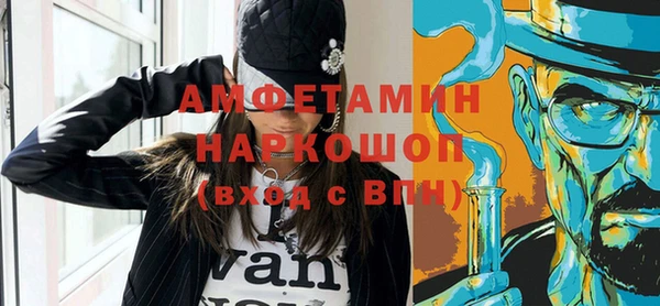 хмурый Ельня