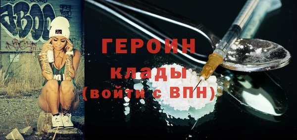 хмурый Ельня
