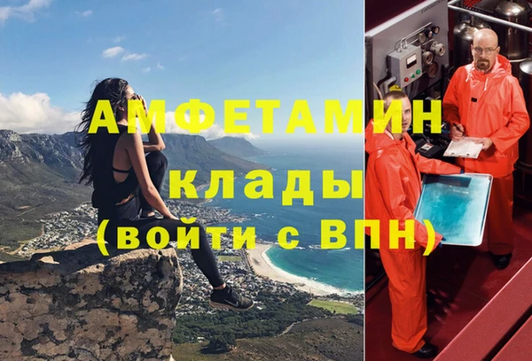 трава Елизово