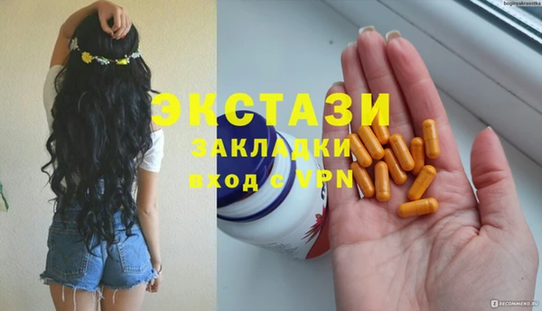 хмурый Ельня