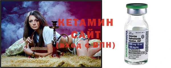 хмурый Ельня