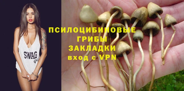 трава Елизово