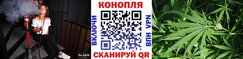 Конопля конопля Грязи